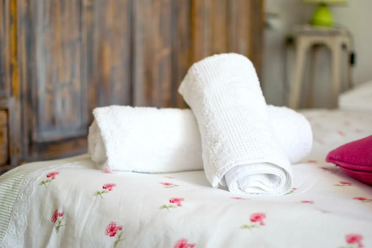 Beautiful Rustical Apt Ana In The Heart Of Rovinj Apartment